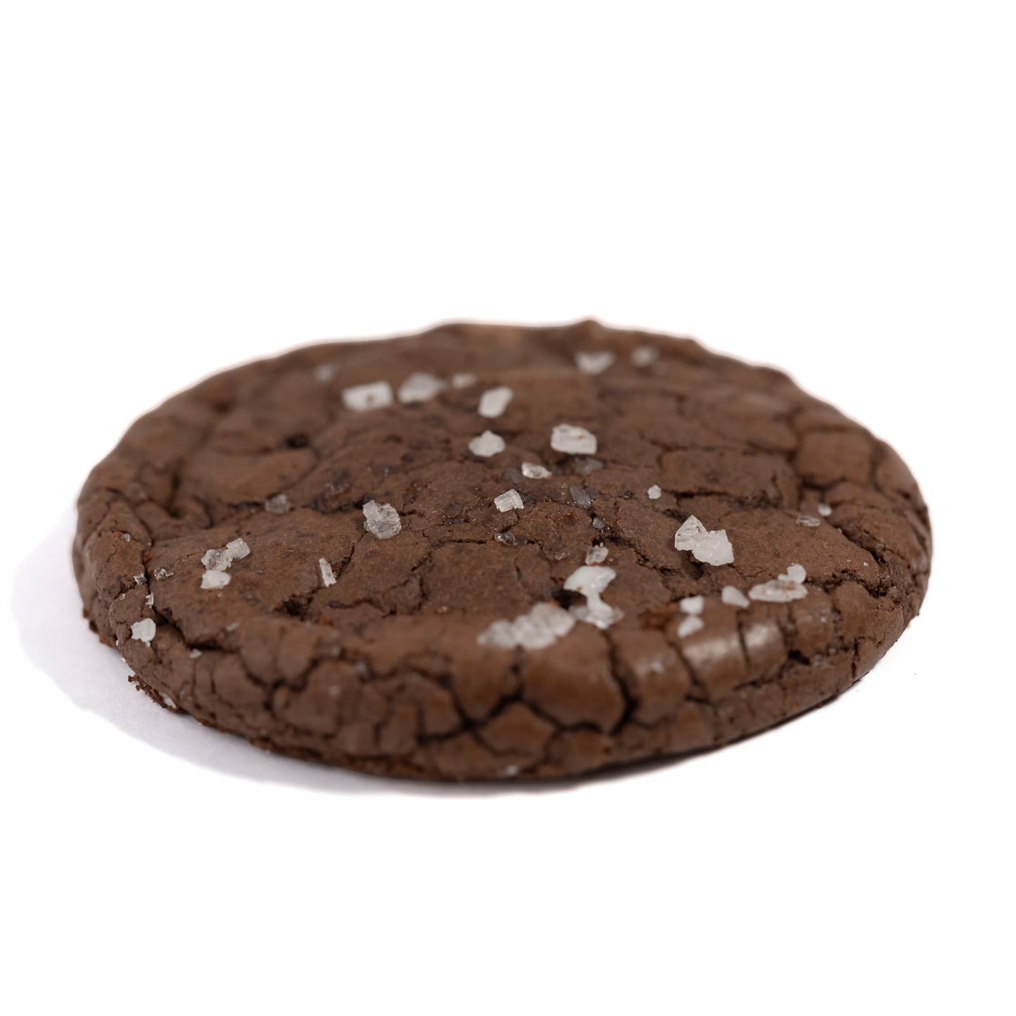 Brownie and Cookie - Sprinkles