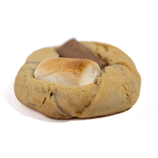 Chocolate Cookie S'mores