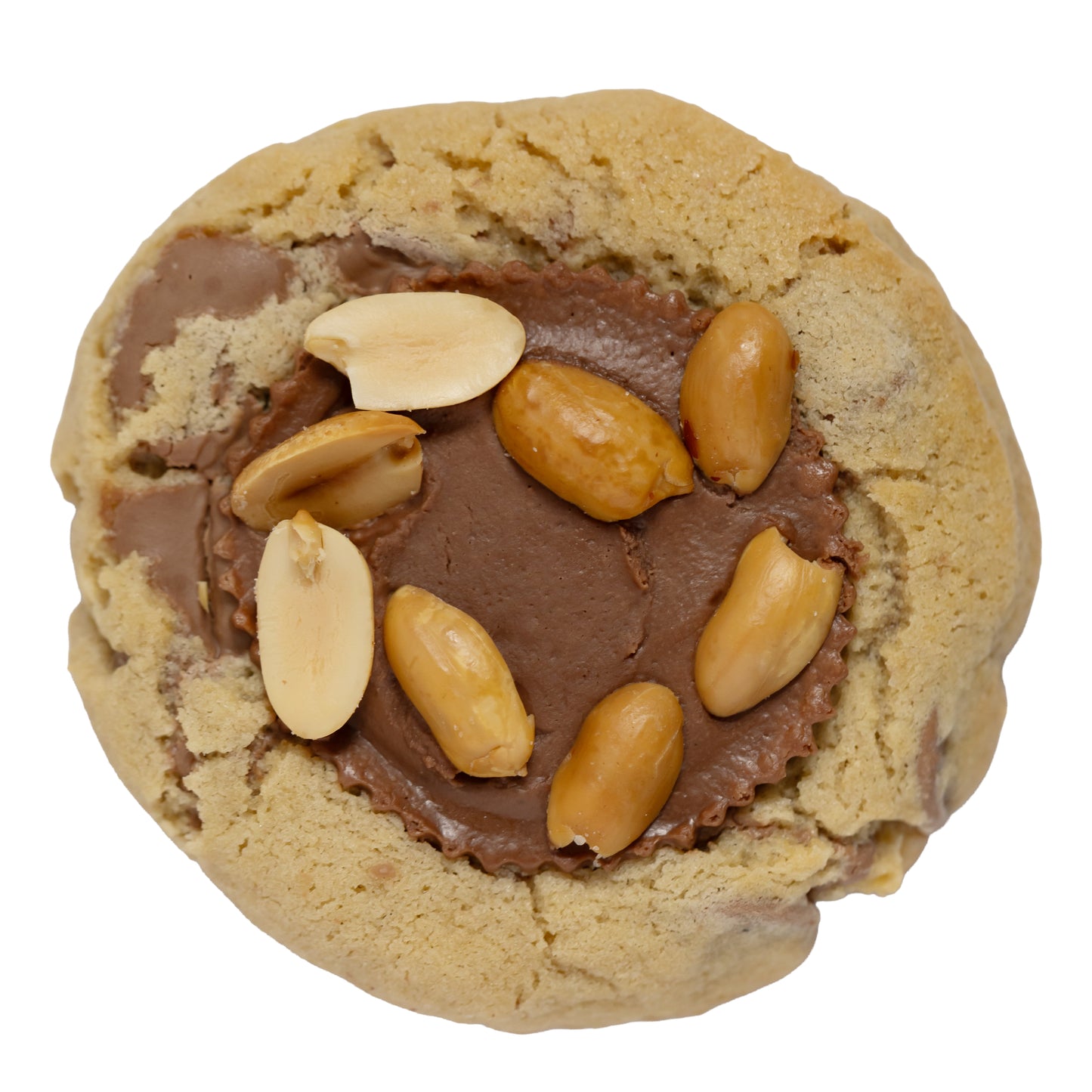 Reese's Chocolate Peanut Cookie