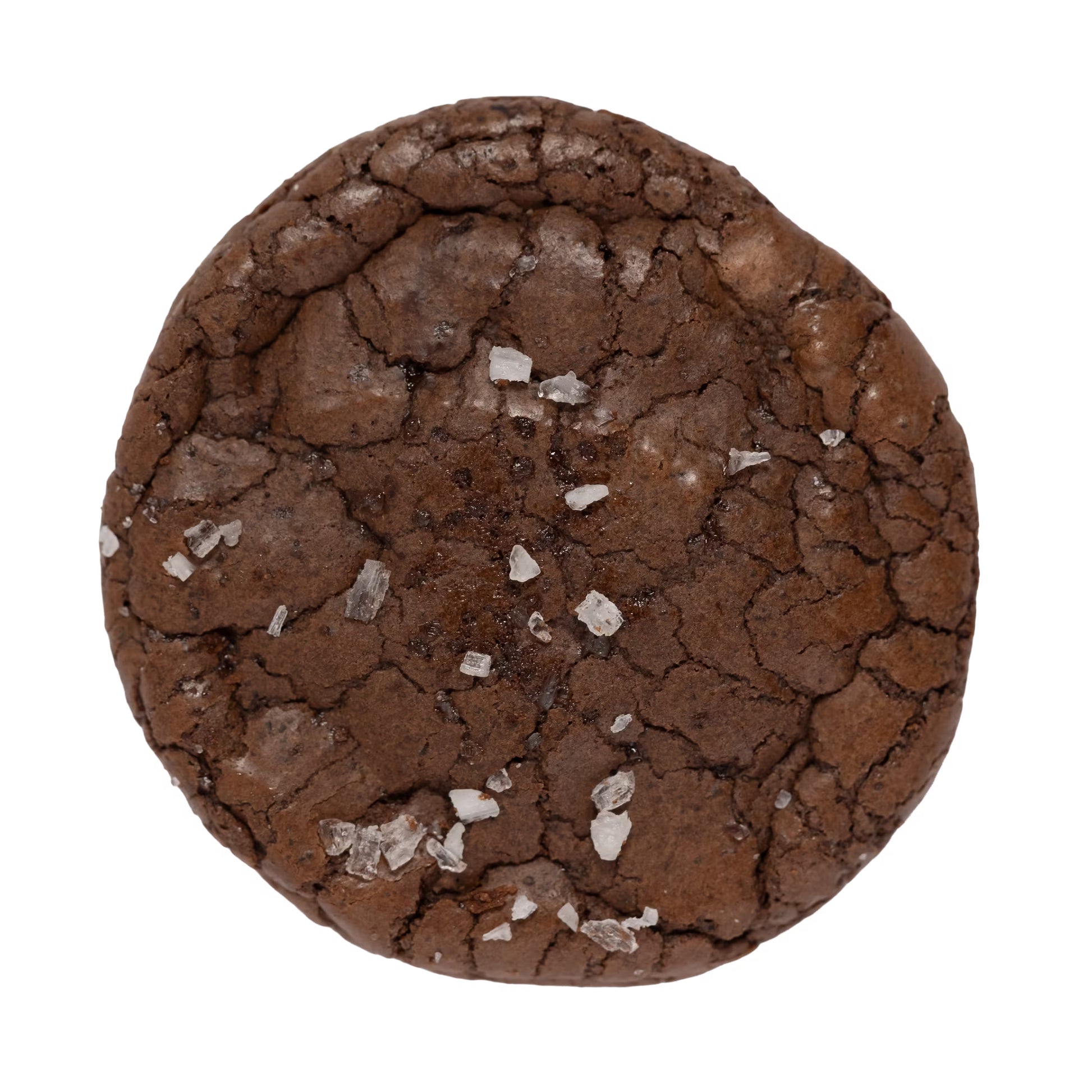 Brownie and Cookie - Sprinkles