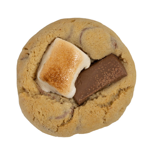 Chocolate Cookie S'mores 