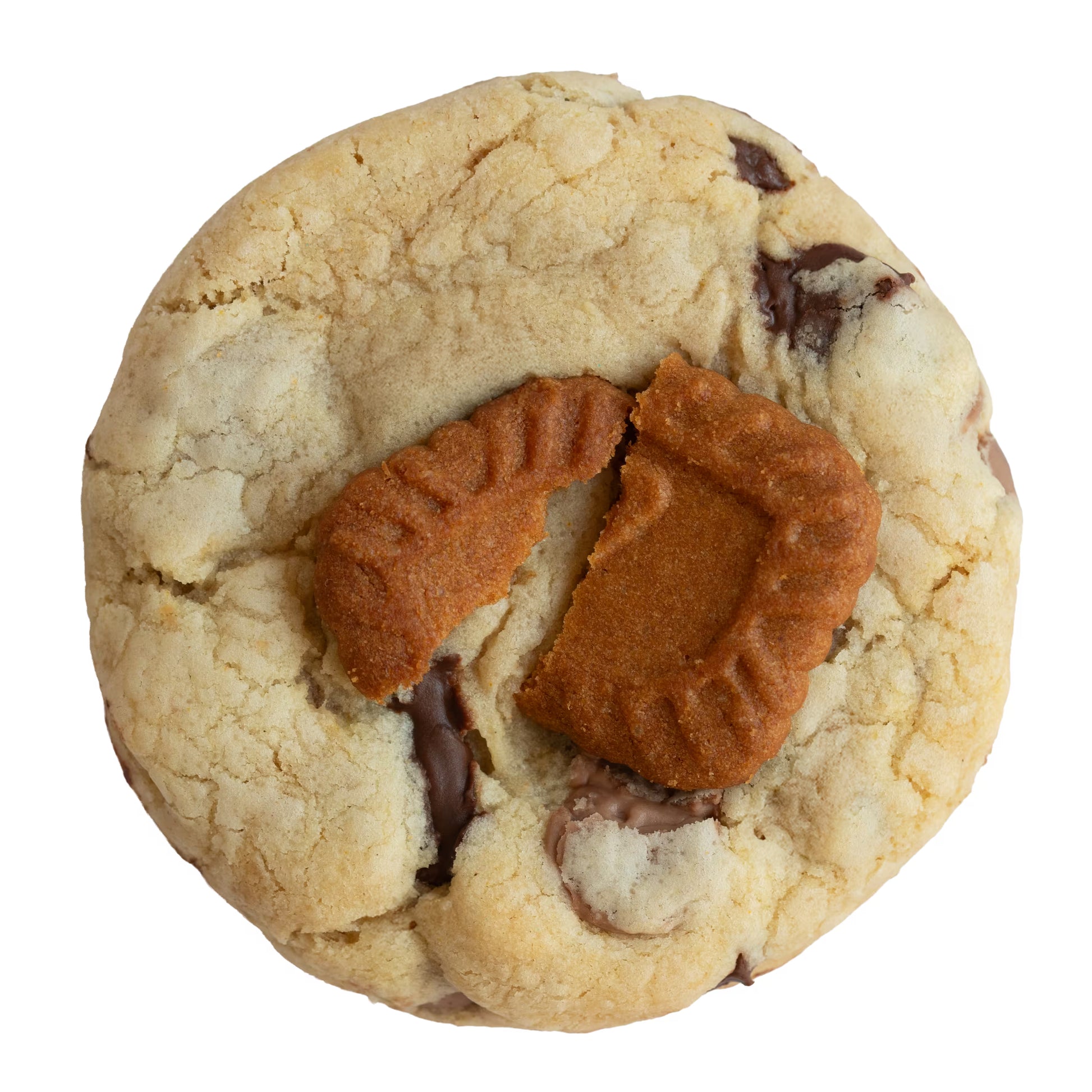 Lotus Chocolate Chip Cookie - Sprinkles