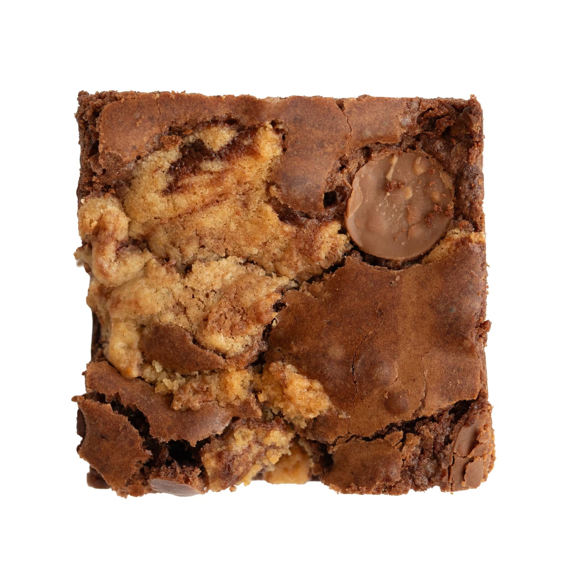 Fudgy Chocolate Brookies - Sprinkles