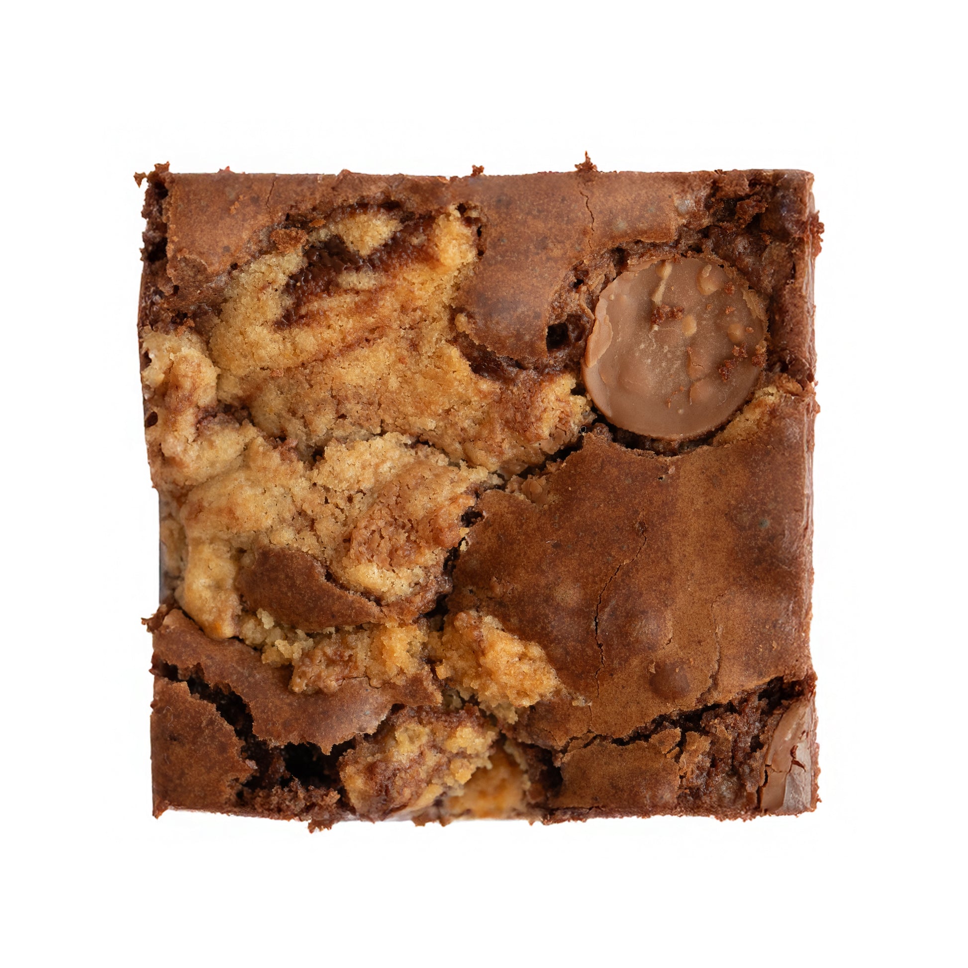 Square brookies with chocolate chips on a white background