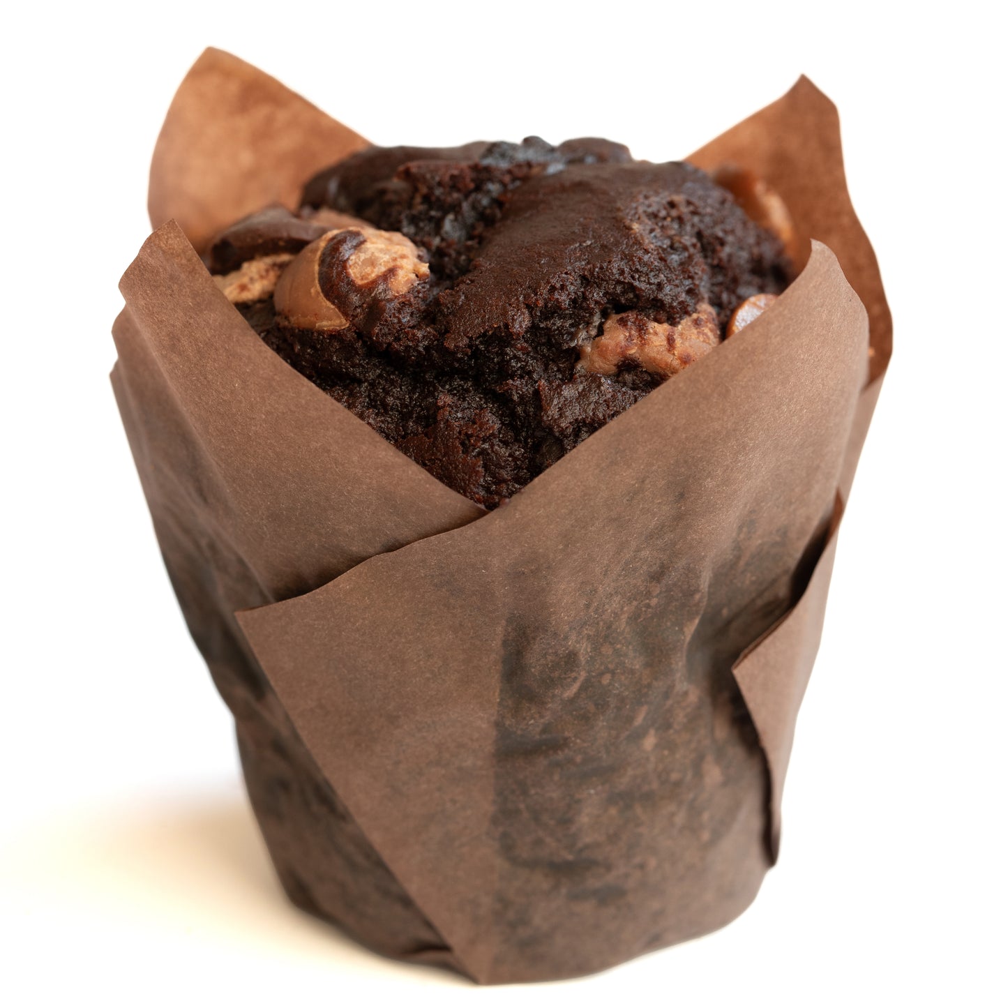 double chocolate muffin with chocolate chips