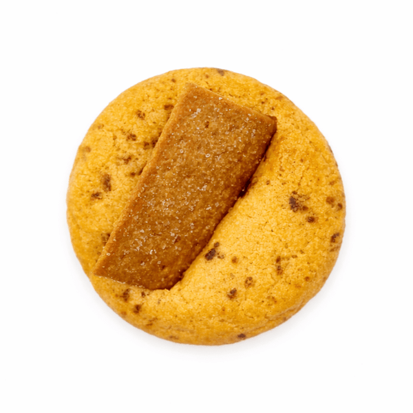 Mocha Cookies | A Coffee Flavor - Sprinkles